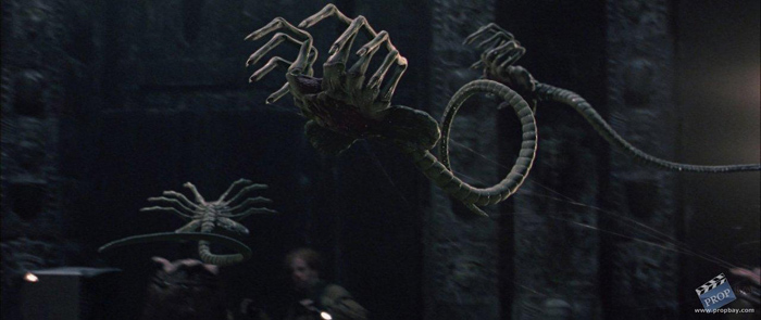 Facehugger AvP Twarzoła Implikacja