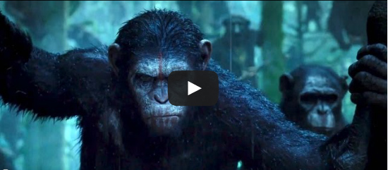 Ewolucja planety małp