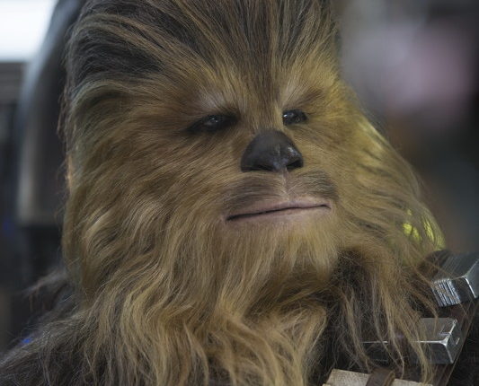 Gwiezdne Wojny Przebudzenie Mocy Chewbacca