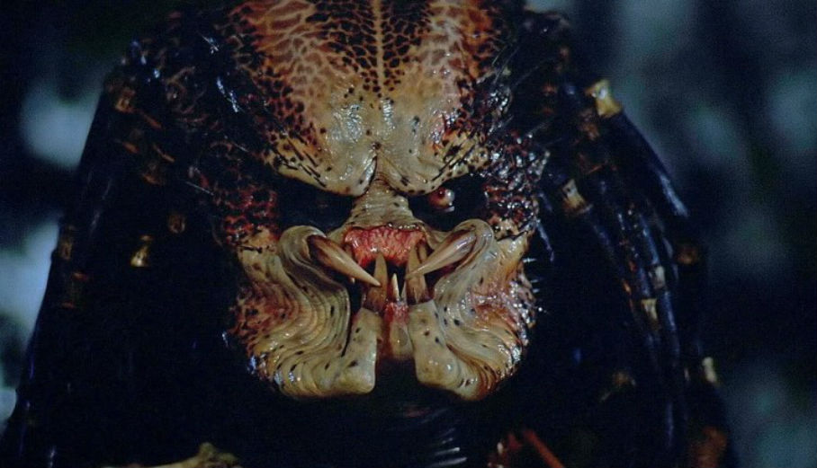 Predator's face